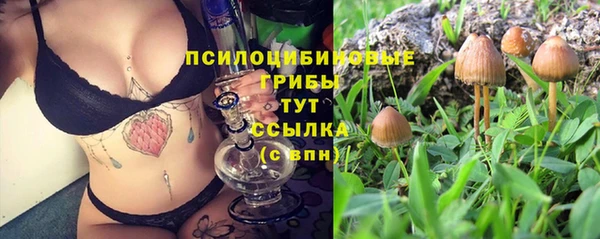 apvp Абинск