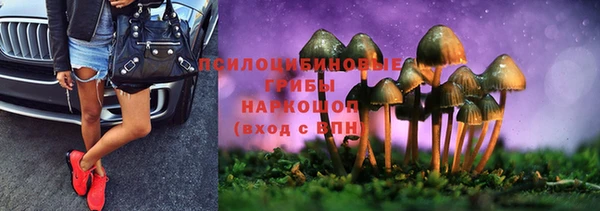 apvp Абинск